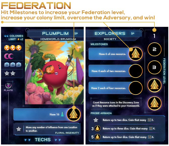 Federation Level Explanation